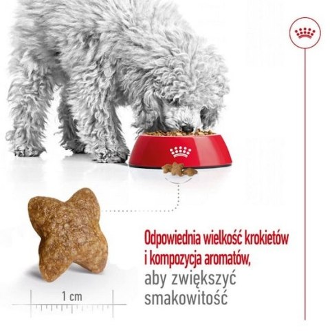 Royal Canin Mini Adult karma sucha dla psów dorosłych, ras małych 2kg Royal Canin Mini Adult karma sucha dla psów dorosłych, ras małych 2kg