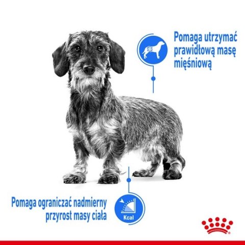 Royal Canin Mini Light Weight Care karma sucha dla psów dorosłych, ras małych z tendencją do nadwagi 8kg Royal Canin Mini Light Weight Care karma sucha dla psów dorosłych, ras małych z tendencją do nadwagi 8kg