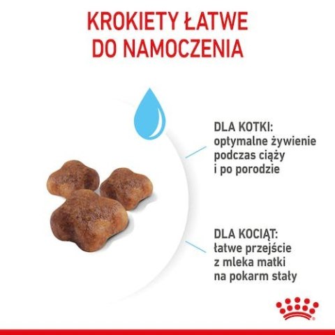 Royal Canin Mother&Babycat karma sucha dla kotek w okresie ciąży, laktacji i kociąt od 1 do 4 miesiąca 400g Royal Canin Mother&Babycat karma sucha dla kotek w okresie ciąży, laktacji i kociąt od 1 do 4 miesiąca 400g