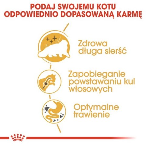 Royal Canin Persian Adult karma sucha dla kotów dorosłych rasy perskiej 2kg Royal Canin Persian Adult karma sucha dla kotów dorosłych rasy perskiej 2kg