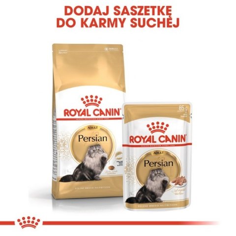 Royal Canin Persian Adult karma sucha dla kotów dorosłych rasy perskiej 400g Royal Canin Persian Adult karma sucha dla kotów dorosłych rasy perskiej 400g