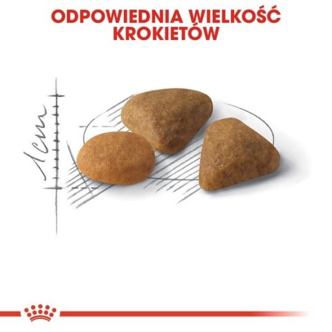 Royal Canin Savour Exigent karma sucha dla kotów dorosłych, wybrednych, kierujących się teksturą krokieta 400g Royal Canin Savour Exigent karma sucha dla kotów dorosłych, wybrednych, kierujących się teksturą krokieta 400g