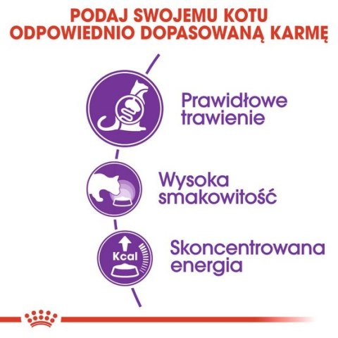Royal Canin Sensible karma sucha dla kotów dorosłych, o wrażliwym przewodzie pokarmowym 2kg Royal Canin Sensible karma sucha dla kotów dorosłych, o wrażliwym przewodzie pokarmowym 2kg