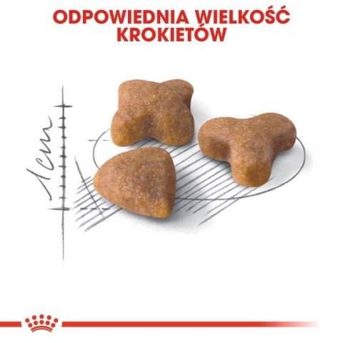 Royal Canin Sensible karma sucha dla kotów dorosłych, o wrażliwym przewodzie pokarmowym 2kg Royal Canin Sensible karma sucha dla kotów dorosłych, o wrażliwym przewodzie pokarmowym 2kg