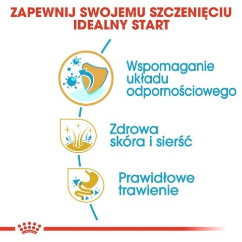 Royal Canin Shih Tzu Puppy karma sucha dla szczeniąt do 10 miesiąca, rasy shih tzu 0,5kg Royal Canin Shih Tzu Puppy karma sucha dla szczeniąt do 10 miesiąca, rasy shih tzu 0,5kg