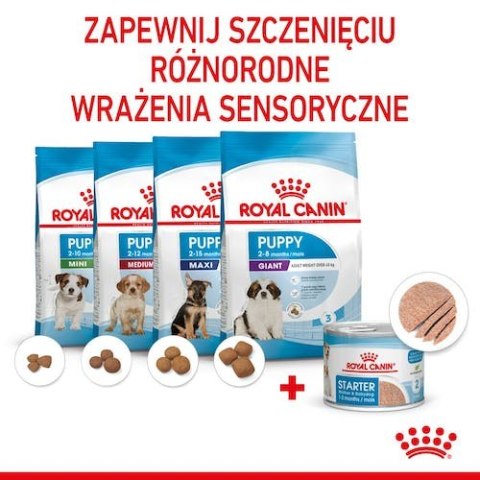Royal Canin Starter Mother&Babydog karma mokra - mus, dla suk w czasie ciąży, laktacji oraz szczeniąt puszka 195g Royal Canin Starter Mother&Babydog karma mokra - mus, dla suk w czasie ciąży, laktacji oraz szczeniąt puszka 195g
