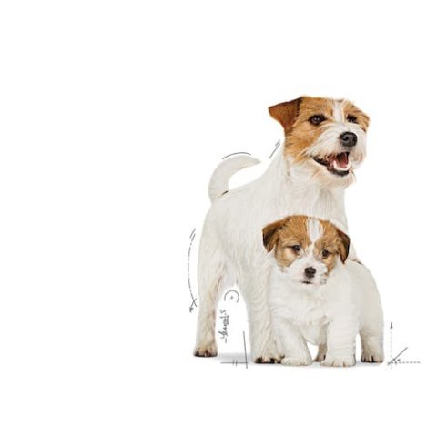 Royal Canin Starter Mother&Babydog karma mokra - mus, dla suk w czasie ciąży, laktacji oraz szczeniąt puszka 195g Royal Canin Starter Mother&Babydog karma mokra - mus, dla suk w czasie ciąży, laktacji oraz szczeniąt puszka 195g