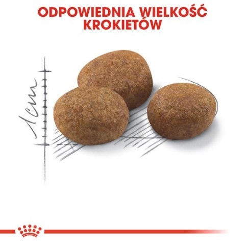 Royal Canin Sterilised 7+ karma sucha dla kotów dorosłych, od 7 do 12 roku życia, sterylizowanych 1,5kg Royal Canin Sterilised 7+ karma sucha dla kotów dorosłych, od 7 do 12 roku życia, sterylizowanych 1,5kg