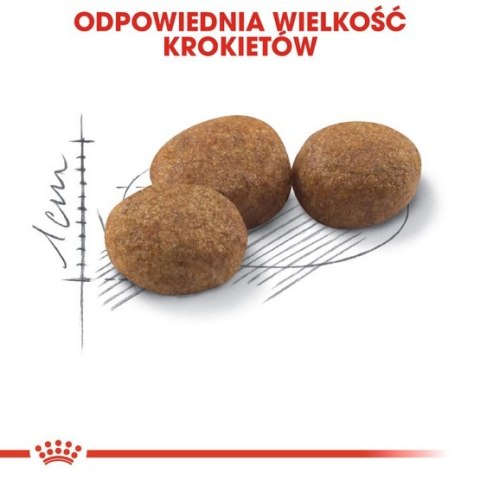 Royal Canin Sterilised karma sucha dla kotów dorosłych, sterylizowanych 2kg Royal Canin Sterilised karma sucha dla kotów dorosłych, sterylizowanych 2kg