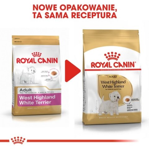 Royal Canin West Highland White Terrier Adult karma sucha dla psów dorosłych rasy west highland white terrier 0,5kg Royal Canin West Highland White Terrier Adult karma sucha dla psów dorosłych rasy west highland white terrier 0,5kg