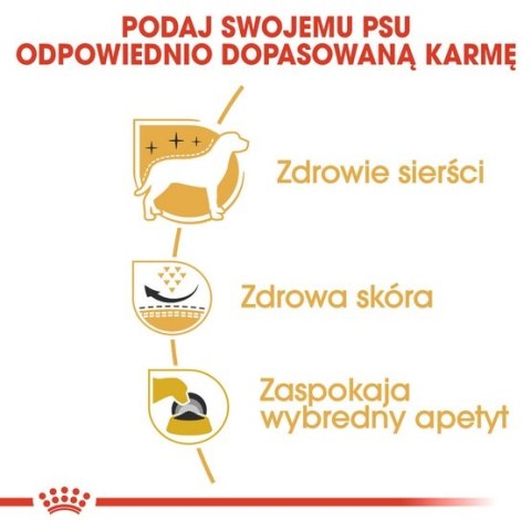 Royal Canin West Highland White Terrier Adult karma sucha dla psów dorosłych rasy west highland white terrier 0,5kg Royal Canin West Highland White Terrier Adult karma sucha dla psów dorosłych rasy west highland white terrier 0,5kg