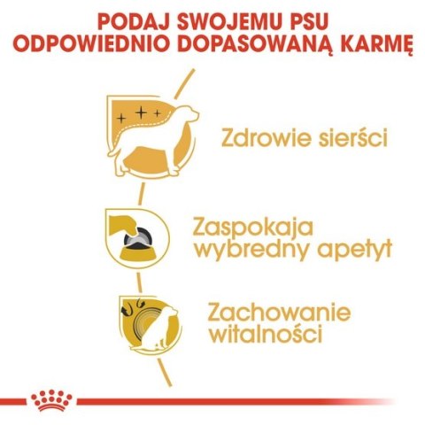 Royal Canin Yorkshire Terrier Adult karma sucha dla psów dorosłych rasy yorkshire terrier 0,5kg Royal Canin Yorkshire Terrier Adult karma sucha dla psów dorosłych rasy yorkshire terrier 0,5kg