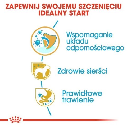Royal Canin Yorkshire Terrier Puppy karma sucha dla szczeniąt do 10 miesiąca, rasy yorkshire terrier 1,5kg Royal Canin Yorkshire Terrier Puppy karma sucha dla szczeniąt do 10 miesiąca, rasy yorkshire terrier 1,5kg