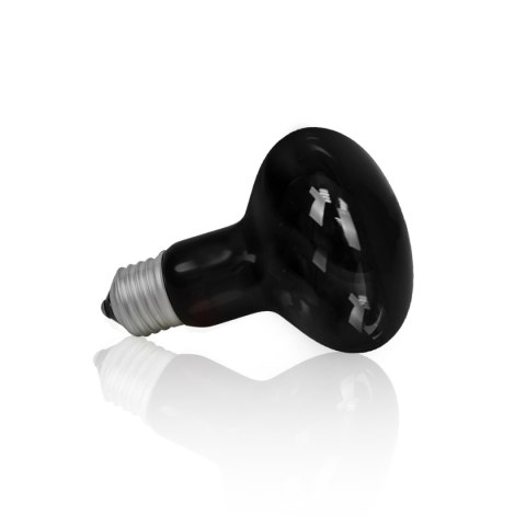 Żarówka Terra Night Heat Black 100W Żarówka Terra Night Heat Black 100W