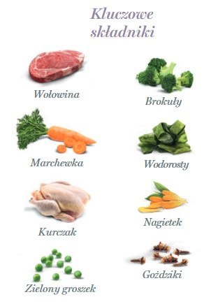 Amanova Dog Adult Brilliant Beef & Chicken - wołowina i kurczak saszetka 300g [P01]