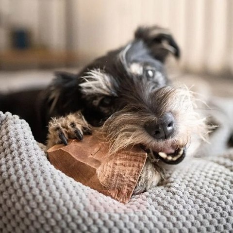 4DOGS Gryzak z korzenia drzewa wrzosowego L 4DOGS Gryzak z korzenia drzewa wrzosowego L