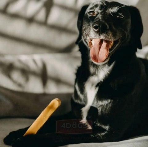 4DOGS Gryzak z sera himalajskiego Churpi Original XXL 4DOGS Gryzak z sera himalajskiego Churpi Original XXL