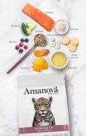 Amanova Cat Sterilised Salmon Deluxe - łosoś 6kg