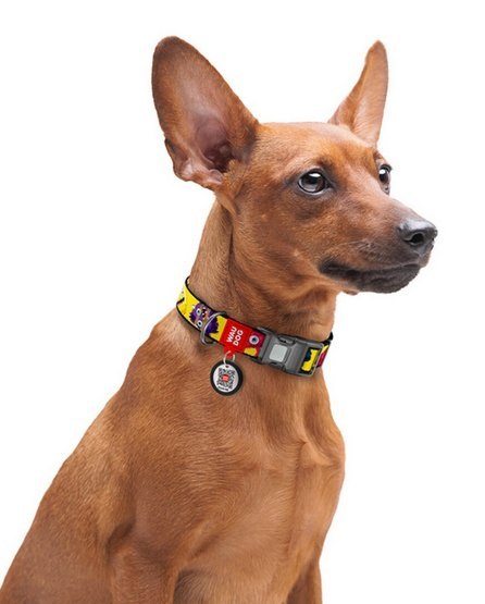 Collar WauDog Nylon Obroża nylonowa z QR-paszportem, plastikowy fastex, wzór FUTRZANE POTWORY, L 25mm/33-49cm Collar WauDog Nylon Obroża nylonowa z QR-paszportem, plastikowy fastex, wzór FUTRZANE POTWORY, L 25mm/33-49cm