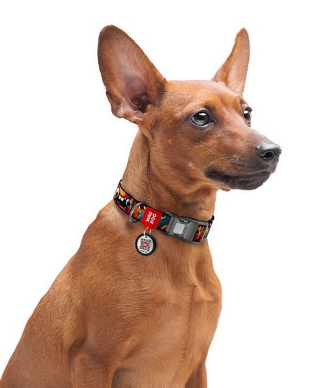 Collar WauDog Nylon Obroża nylonowa z QR-paszportem, plastikowy fastex, wzór ZĘBATE POTWORY, XXL 35mm/46-70cm Collar WauDog Nylon Obroża nylonowa z QR-paszportem, plastikowy fastex, wzór ZĘBATE POTWORY, XXL 35mm/46-70cm