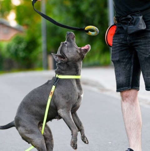 Dingo Zabawka dla psa - Szarpak Ringo z rączką bungee 10cm Dingo Zabawka dla psa - Szarpak Ringo z rączką bungee 10cm