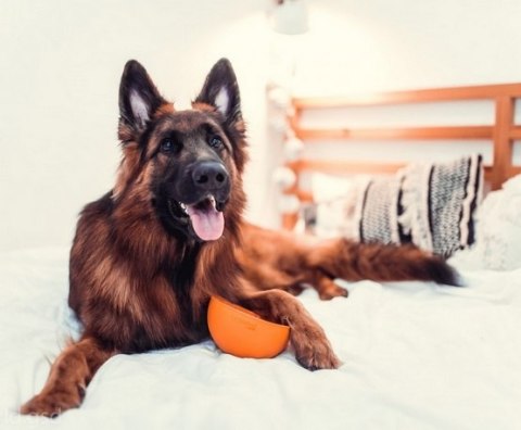 LickiMat Wobble Miska głęboka Jeżyk miękka pomarańczowa LickiMat Wobble Miska głęboka Jeżyk miękka pomarańczowa