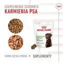 Royal Canin Digestion Chews Adult Supplements 160g