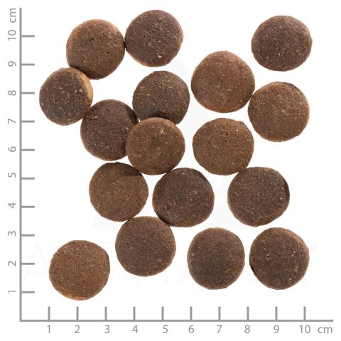Wolfsblut Dog Red Rock - kangur i bataty 12,5kg Wolfsblut Dog Red Rock - kangur i bataty 12,5kg