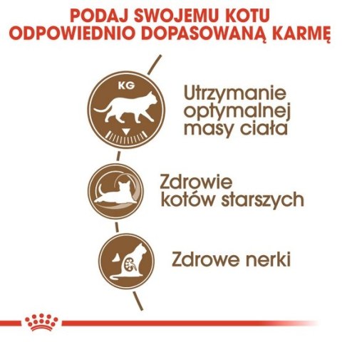 Royal Canin Ageing +12 Sterilised karma sucha dla kotów dojrzałych, sterylizowanych 400g Royal Canin Ageing +12 Sterilised karma sucha dla kotów dojrzałych, sterylizowanych 400g
