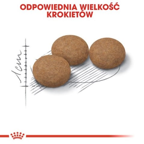 Royal Canin Ageing +12 Sterilised karma sucha dla kotów dojrzałych, sterylizowanych 400g Royal Canin Ageing +12 Sterilised karma sucha dla kotów dojrzałych, sterylizowanych 400g