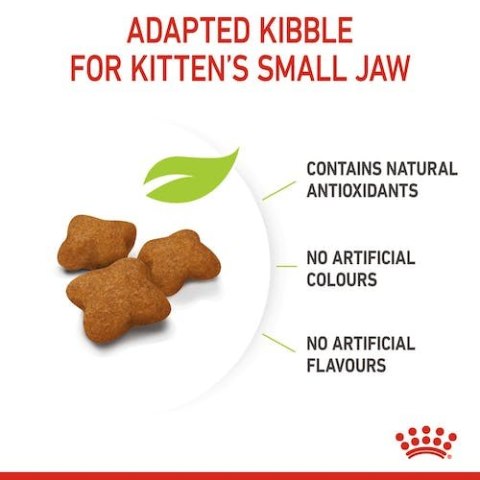 Royal Canin Kitten Sterilised karma sucha dla kociąt od 4 do 12 miesiąca życia, sterylizowanych 400g Royal Canin Kitten Sterilised karma sucha dla kociąt od 4 do 12 miesiąca życia, sterylizowanych 400g