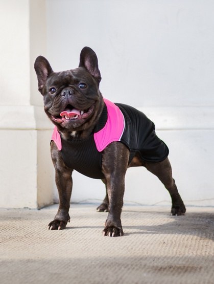 Chaba Ubranko regulowane Wear Magnifique 4XL różowe