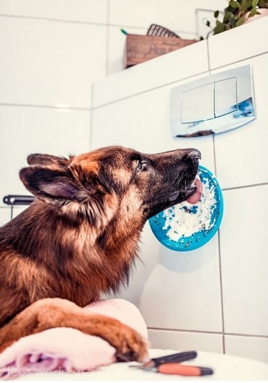 LickiMat Splash miska z przyssawką turkusowa