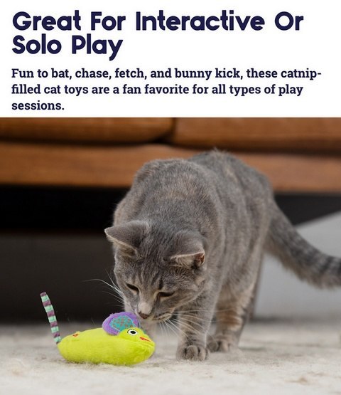 Petstages Mysia moc z kocimiętką PS384