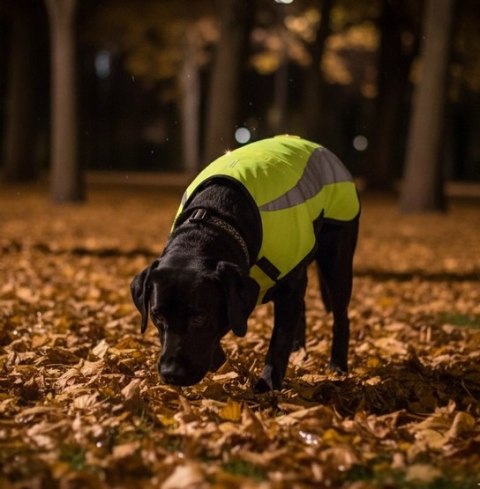 Zolux Kamizelka odblaskowa R.30 żółta