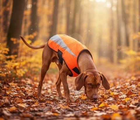 Zolux Kamizelka odblaskowa R.40 pomarańczowa