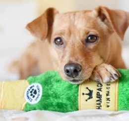 ZippyPaws Pluszowa trzaskająca butelka Champagne [ZP924]