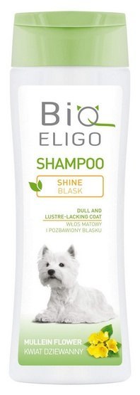 DermaPharm BioEligo Blask szampon dla sierści matowej 250ml DermaPharm BioEligo Blask szampon dla sierści matowej 250ml