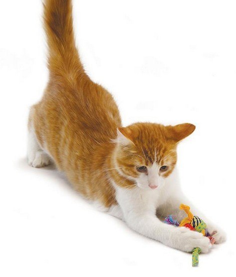 Petstages Piłka szmacianka dla kota PS310 Petstages Piłka szmacianka dla kota PS310