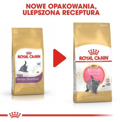 Royal Canin British Shorthair Kitten karma sucha dla kociąt, do 12 miesiąca, rasy brytyjski krótkowłosy 2kg Royal Canin British Shorthair Kitten karma sucha dla kociąt, do 12 miesiąca, rasy brytyjski krótkowłosy 2kg