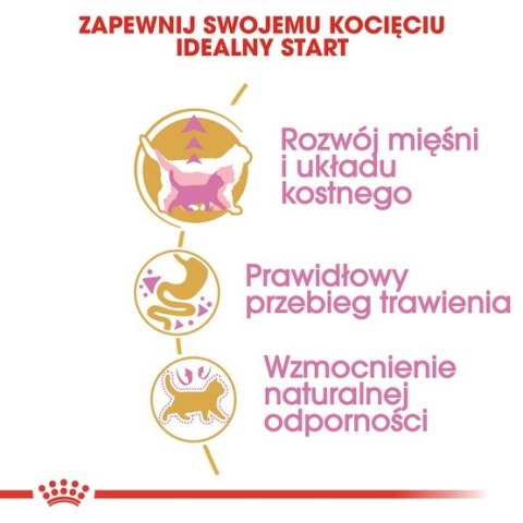 Royal Canin British Shorthair Kitten karma sucha dla kociąt, do 12 miesiąca, rasy brytyjski krótkowłosy 2kg Royal Canin British Shorthair Kitten karma sucha dla kociąt, do 12 miesiąca, rasy brytyjski krótkowłosy 2kg
