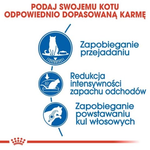 Royal Canin Indoor Apetite Control karma sucha dla kotów dorosłych, przebywających w domu, domagających się jedzenia 2kg Royal Canin Indoor Apetite Control karma sucha dla kotów dorosłych, przebywających w domu, domagających się jedzenia 2kg