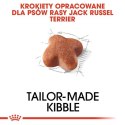 Royal Canin Jack Russell Terrier Adult karma sucha dla psów dorosłych rasy jack russell terrier 1,5kg