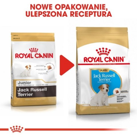 Royal Canin Jack Russell Terrier Puppy karma sucha dla szczeniąt do 10 miesiąca, rasy jack russell terrier 500g Royal Canin Jack Russell Terrier Puppy karma sucha dla szczeniąt do 10 miesiąca, rasy jack russell terrier 500g