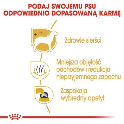 Royal Canin Maltese Adult karma sucha dla psów dorosłych rasy maltańczyk 1,5kg Royal Canin Maltese Adult karma sucha dla psów dorosłych rasy maltańczyk 1,5kg