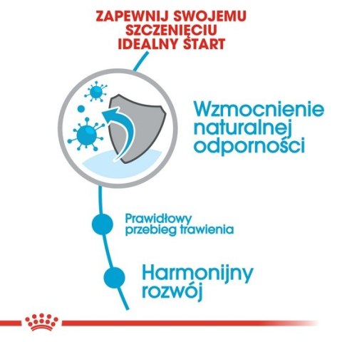 Royal Canin Mini Puppy karma sucha dla szczeniąt, od 2 do 10 miesiąca życia, ras małych 800g Royal Canin Mini Puppy karma sucha dla szczeniąt, od 2 do 10 miesiąca życia, ras małych 800g