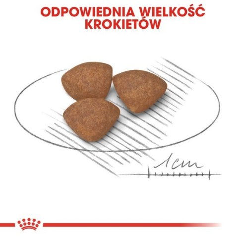 Royal Canin Mini Puppy karma sucha dla szczeniąt, od 2 do 10 miesiąca życia, ras małych 800g Royal Canin Mini Puppy karma sucha dla szczeniąt, od 2 do 10 miesiąca życia, ras małych 800g