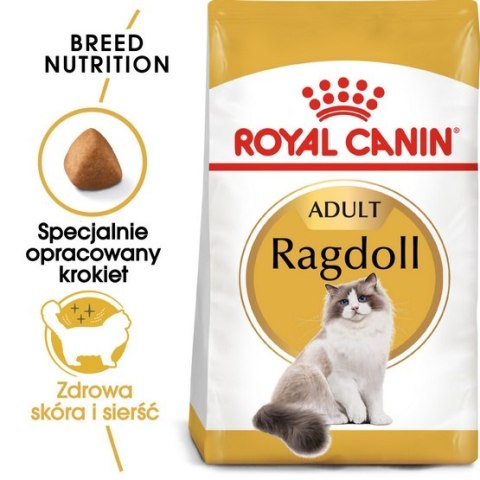Royal Canin Ragdoll Adult karma sucha dla kotów dorosłych rasy ragdoll 2kg Royal Canin Ragdoll Adult karma sucha dla kotów dorosłych rasy ragdoll 2kg