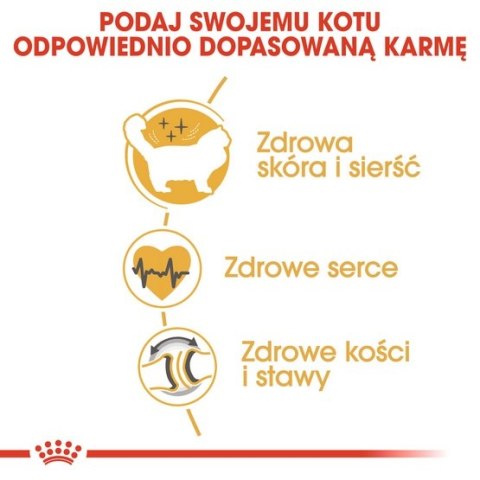 Royal Canin Ragdoll Adult karma sucha dla kotów dorosłych rasy ragdoll 2kg Royal Canin Ragdoll Adult karma sucha dla kotów dorosłych rasy ragdoll 2kg