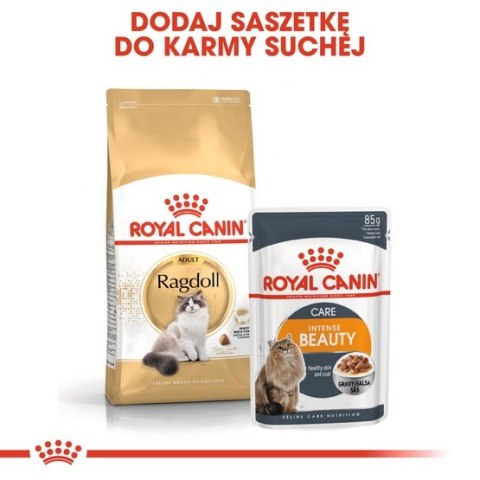 Royal Canin Ragdoll Adult karma sucha dla kotów dorosłych rasy ragdoll 2kg Royal Canin Ragdoll Adult karma sucha dla kotów dorosłych rasy ragdoll 2kg